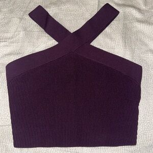 NWOT Aritzia Babaton Top